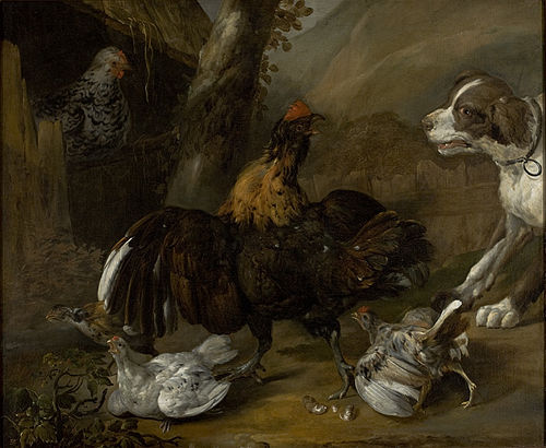 Jacob van Oolen
