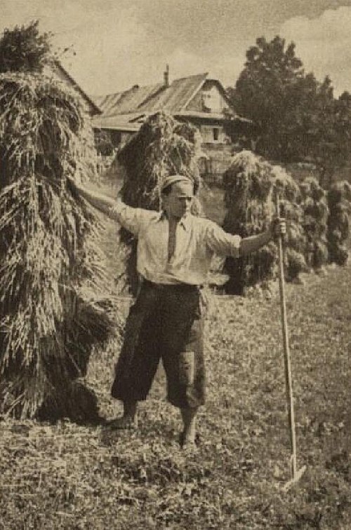 Alois Schneiderka