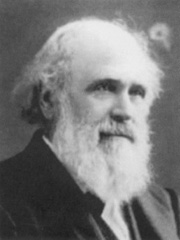  Jerome Thompson Image