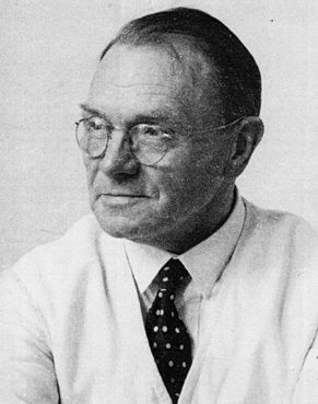 Hans Kohlschein