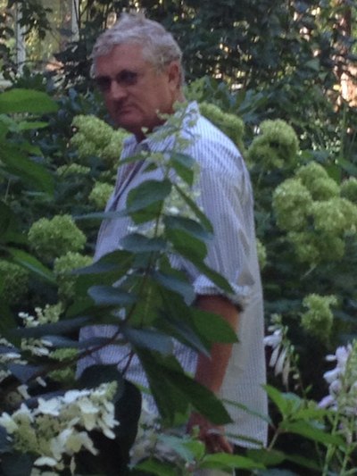 Walter Robinson