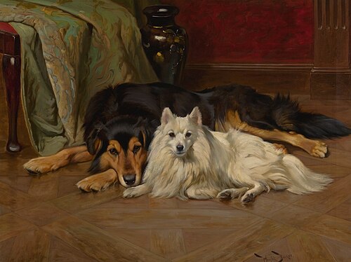 Wright Barker