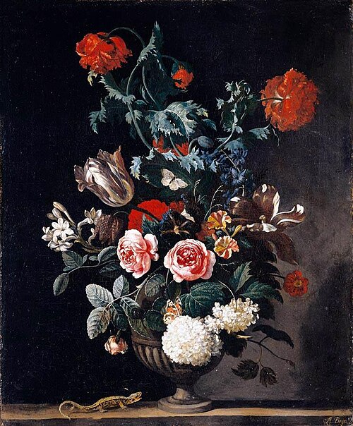 Abraham Begeyn