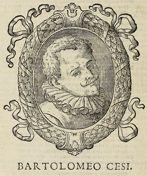 Bartolomeo Cesi