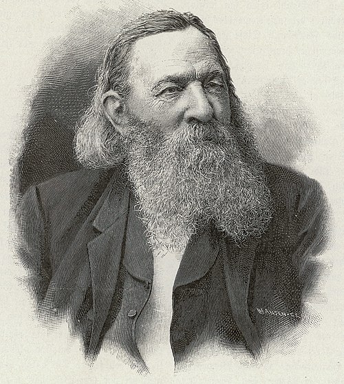 David Arnesen