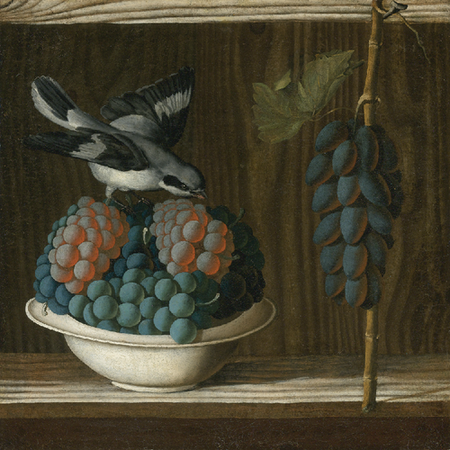  Antonio Leonelli Image