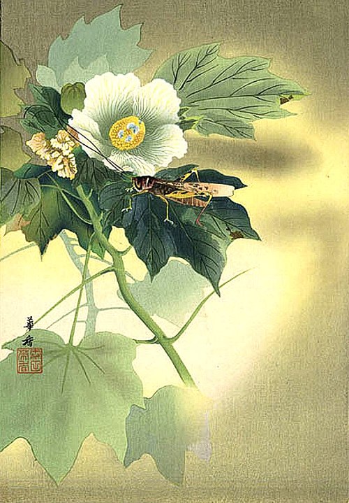 Tsuji Kakō
