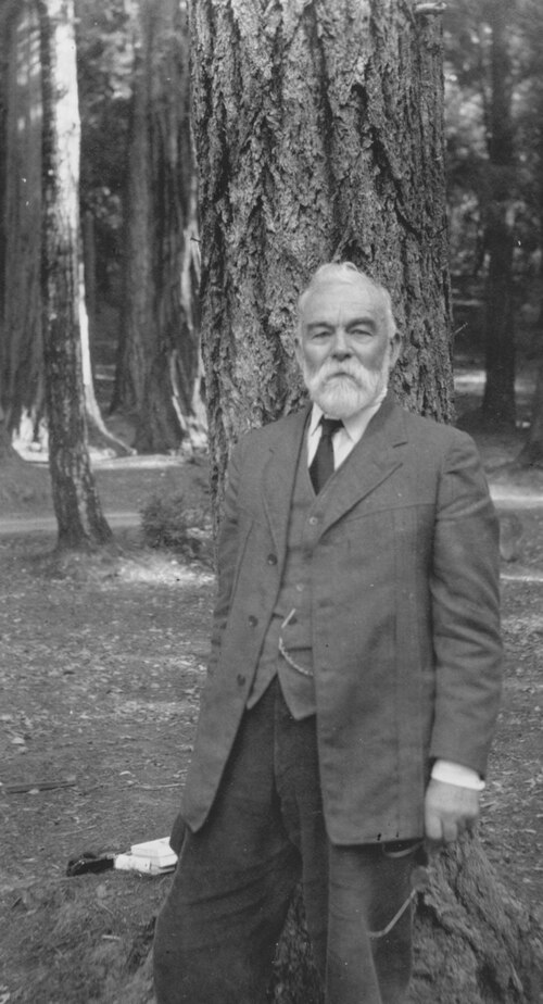 Andrew P. Hill