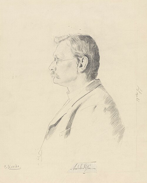  Andreas Edvard Disen Image