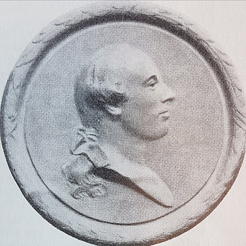 Johan Sevenbom