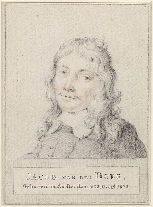 Jacob van der Does