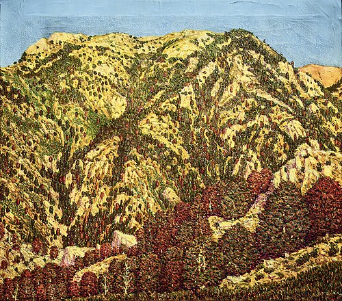 Marià Pidelaserra Brias