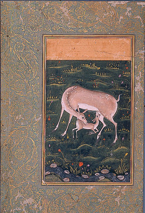 A doe nursing her fawn, , 