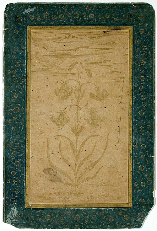 A lily plant with four blooms and two buds, , 