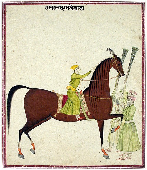 The stallion Laldan Bebaha, , 