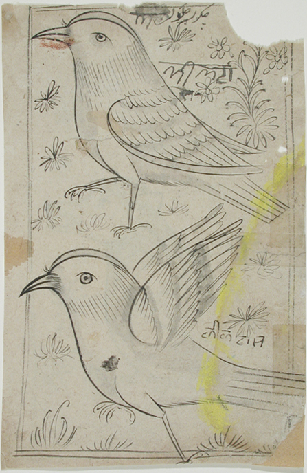 Two birds, , 