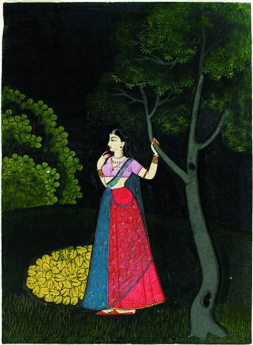 Utka nayika, , 
