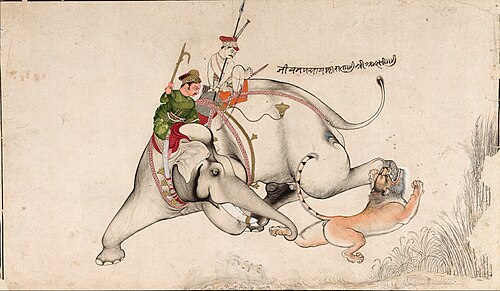 Fight Between Elephant and Lion, 1770, 