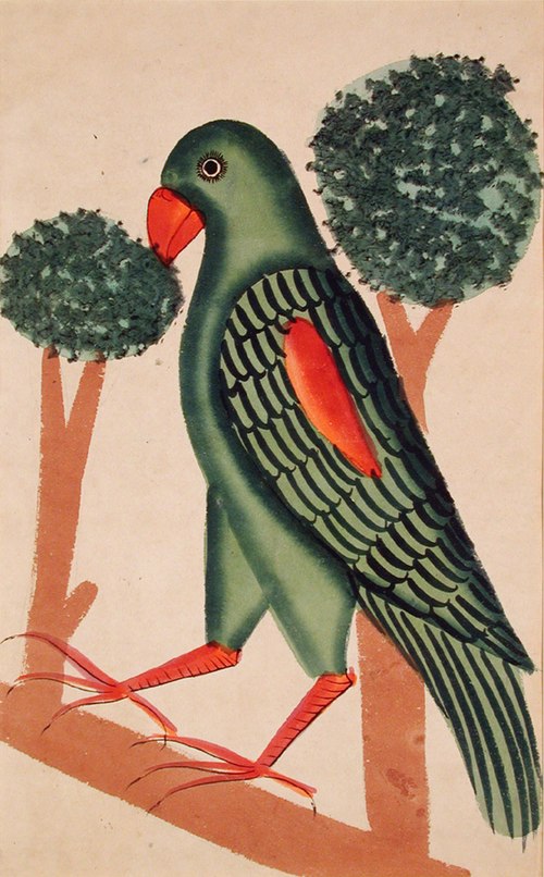 A Parrot, , 