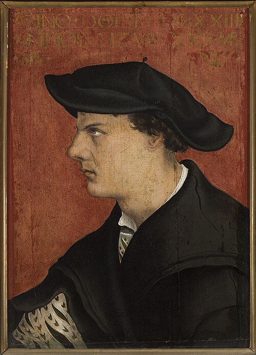 Portrait of a young man, 1524, 