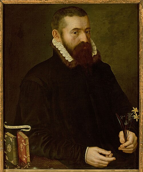 Portrait of a man, 1560, 