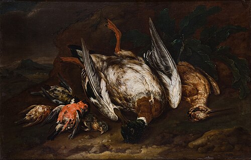 Slaughtered Birds, 1692, 