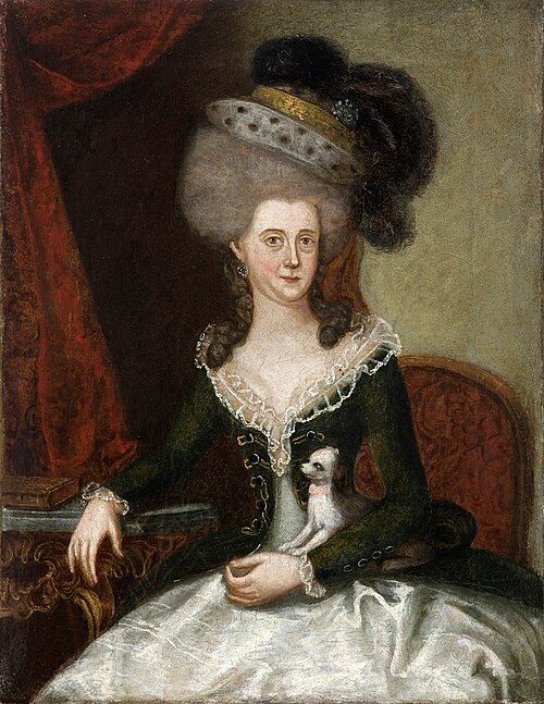 Portrait of Urszula Sokolnicka née Poklatecka (1740–1780), 1780, 