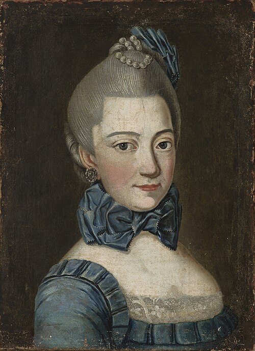 Portret Elżbiety z Wielopolskich Potockiej, 1769, 