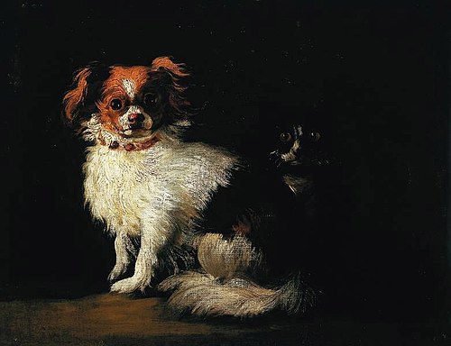 Chien et chat, 1650, 