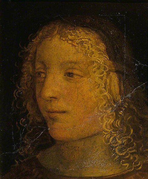 Head of a Boy, 1520, 