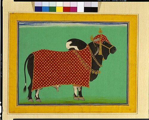 Caparisoned Bull, 1860, 