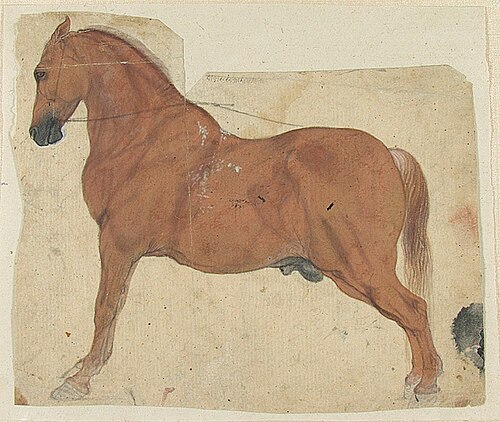 Study of a Chestnut Horse, 1850, 
