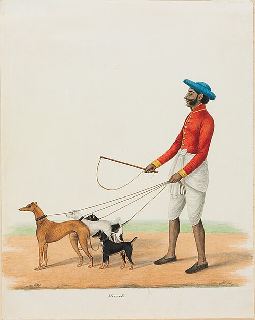 The Dog Wallah, 1825, 