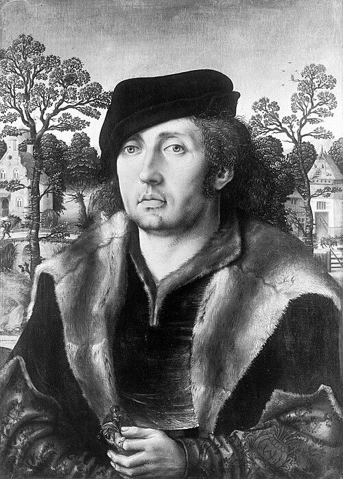 Portrait of a young man, 1520, 