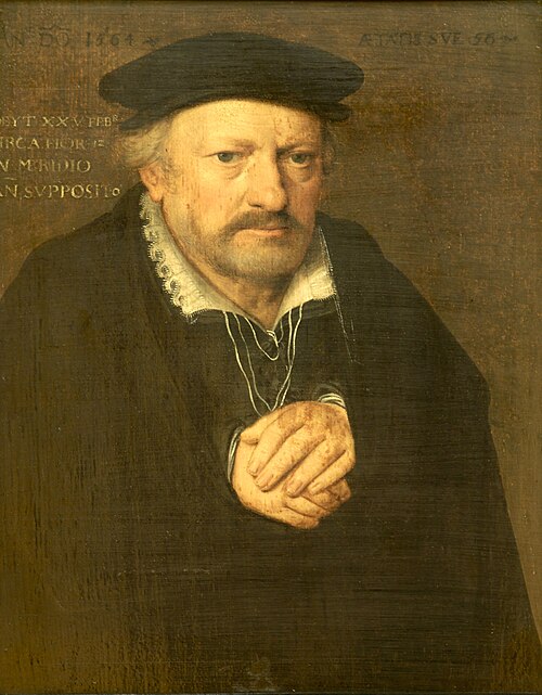 Portrait of a 56-year-old Man, 1564, 