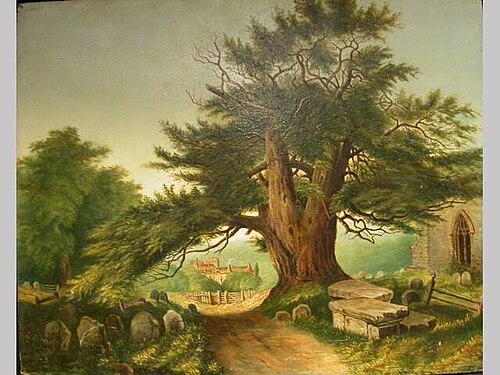 Landscape: Road, , 