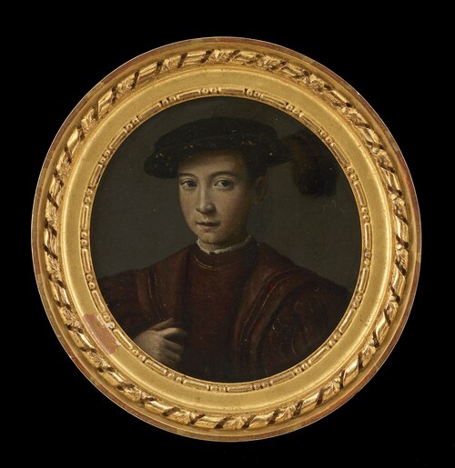 Portret van een jongeling met vederhoed en met harnas, 1537, 