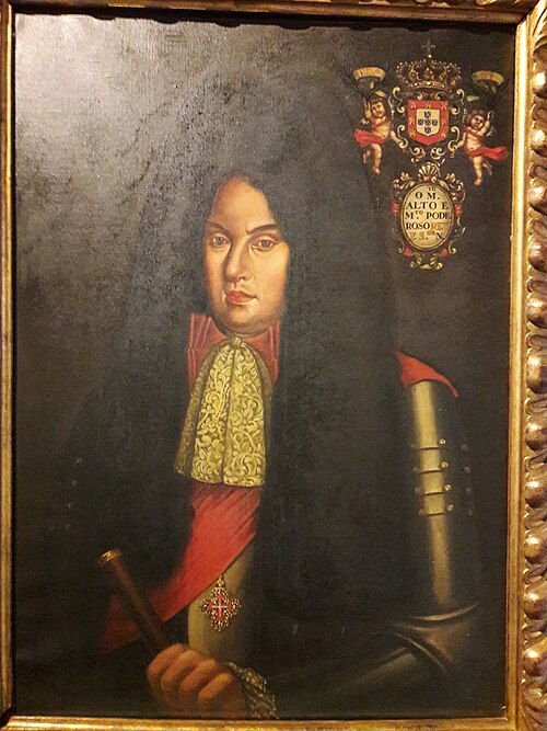 Retrato de D. Pedro II, , 