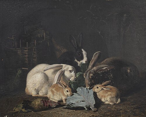 Konijnen,, 1850, 