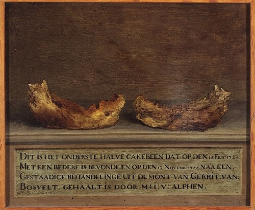 Kaakbeen., 1727, 