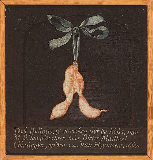 Neuspoliep., 1667, 