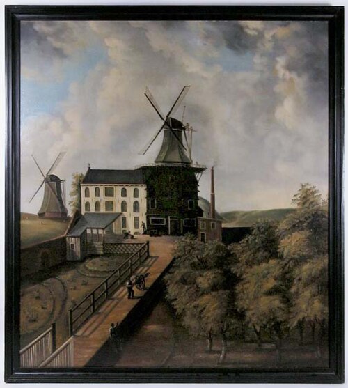 Gezicht op de stoom-, olie- en pelsmolen van de familie Hulscher op de wallen., 1860, 