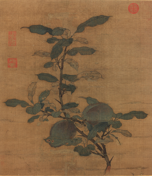 宋人折枝果页, , 