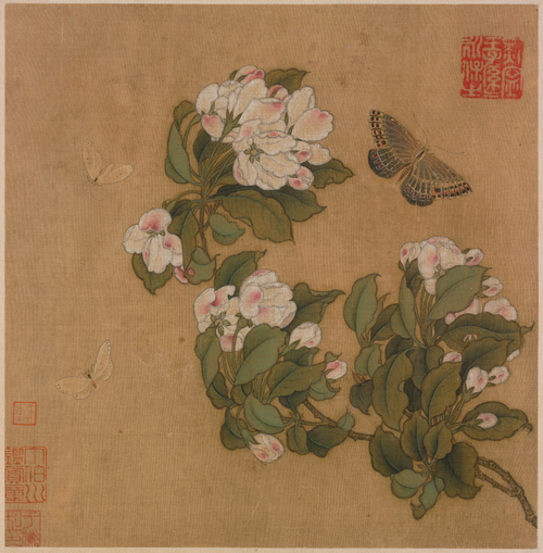 海棠蛱蝶图页, , 