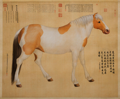艾启蒙锦云骓轴, , 