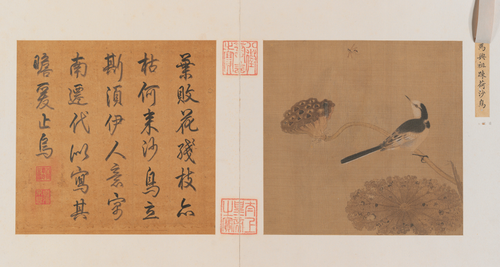 疏荷沙鸟图页, , 