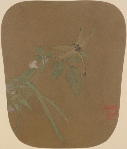 豆荚蜻蜓图页, , 