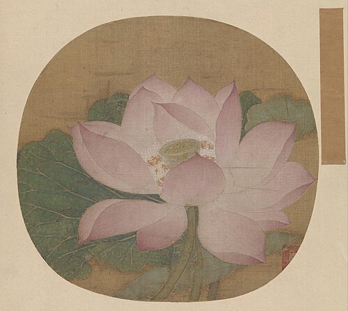 出水芙蓉图页, , 