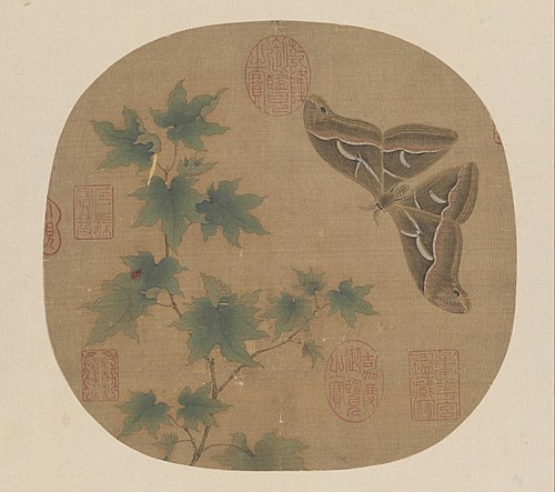 青枫巨蝶图, , 