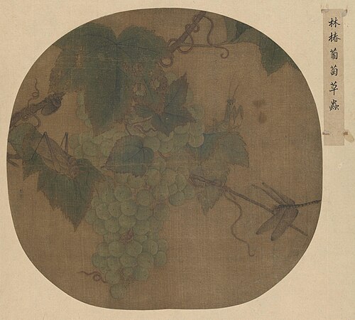 林椿葡萄草虫图页, , 
